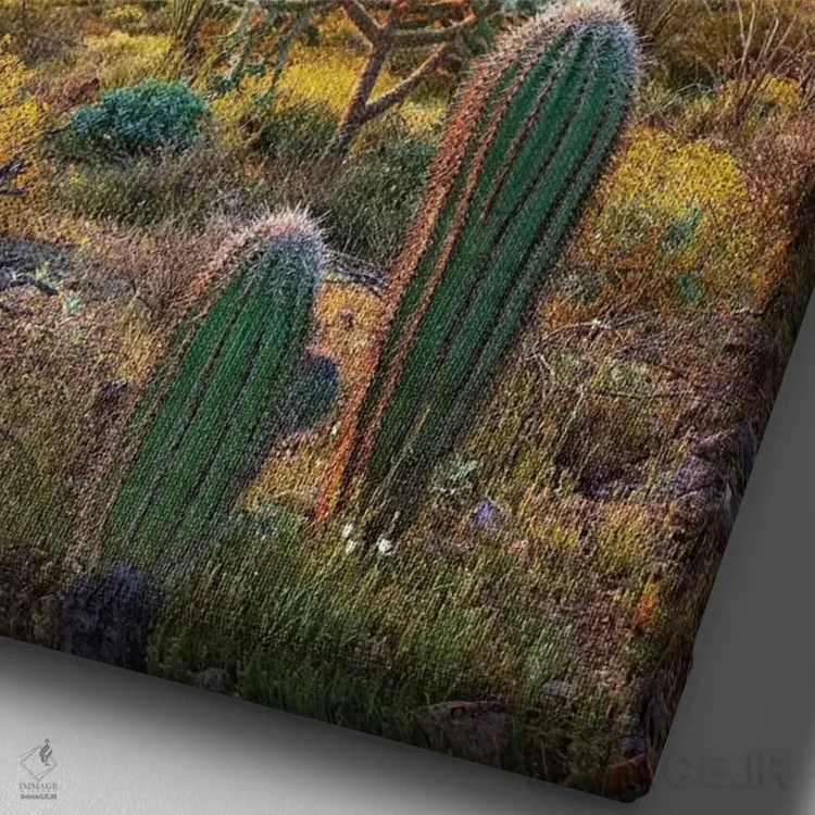 تابلو دکوراتیو Arizona Amid Flowering Lupine And California Brittlebush I… اثر تیم فیتزهریس - نمای نزدیک بافت بوم