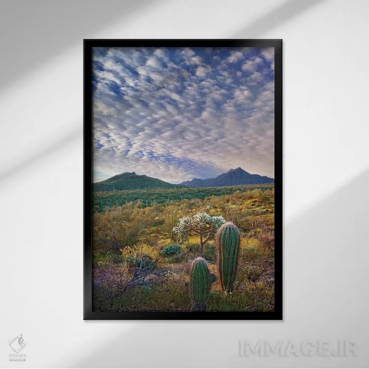 تابلو دکوراتیو Arizona Amid Flowering Lupine And California Brittlebush I… اثر تیم فیتزهریس - نمای قابدار مشکی