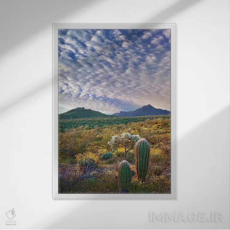 تابلو دکوراتیو Arizona Amid Flowering Lupine And California Brittlebush I… اثر تیم فیتزهریس - نمای قابدار سفید