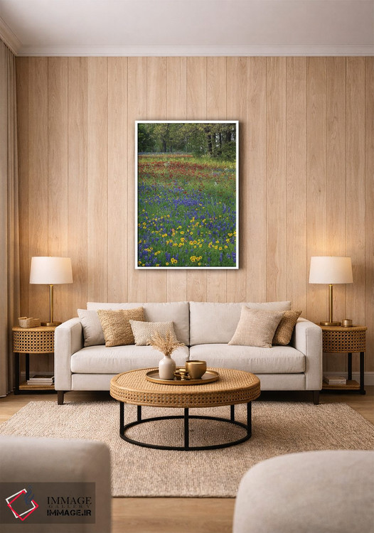 تابلو دکوراتیو Drummond's Phlox And Tickseed, Fort Parker State Park, Tex… اثر تیم فیتزهریس - D1W