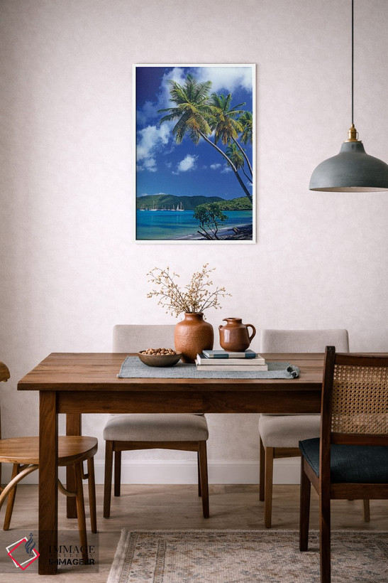 تابلو دکوراتیو Virgin Islands,درختان نخل در خلیج ماهو، جزایر ویرجین اثر تیم فیتزهریس - D5W