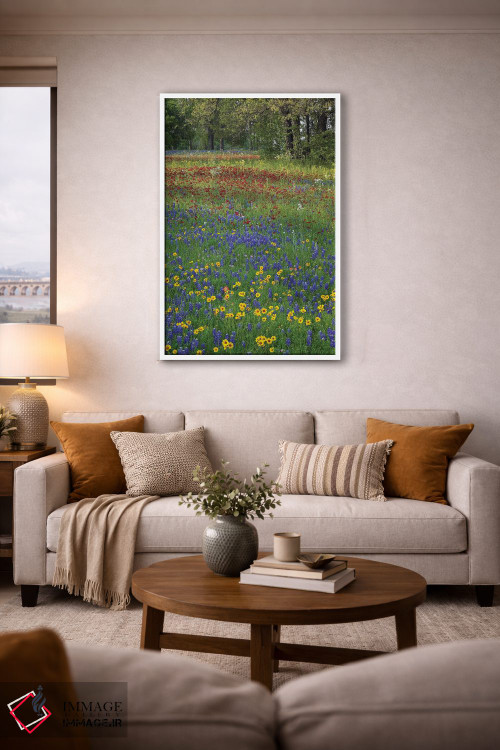 تابلو دکوراتیو Drummond's Phlox And Tickseed, Fort Parker State Park, Tex… اثر تیم فیتزهریس - D4W
