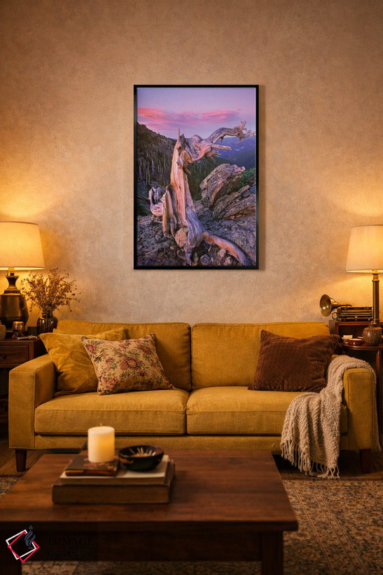 تابلو دکوراتیو Rocky Mountain National Park, Colorado,درخت کاج بریستلکون… اثر تیم فیتزهریس - D3B
