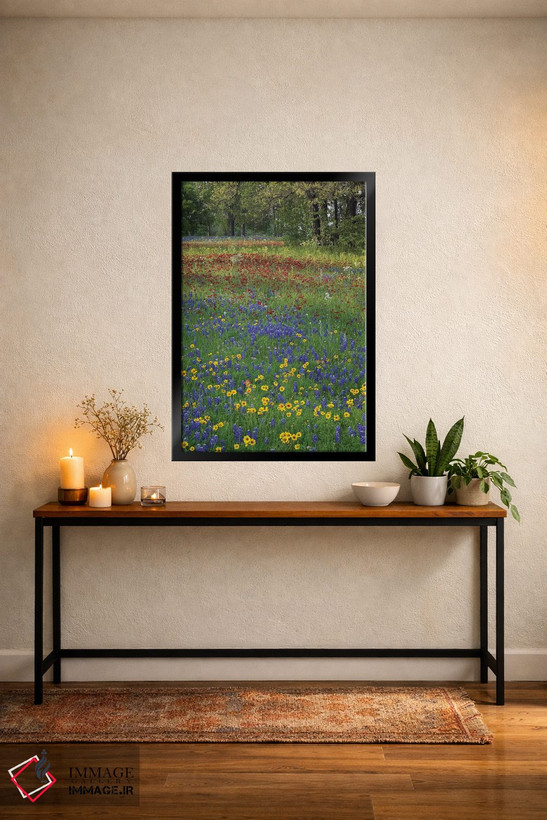 تابلو دکوراتیو Drummond's Phlox And Tickseed, Fort Parker State Park, Tex… اثر تیم فیتزهریس - D6B