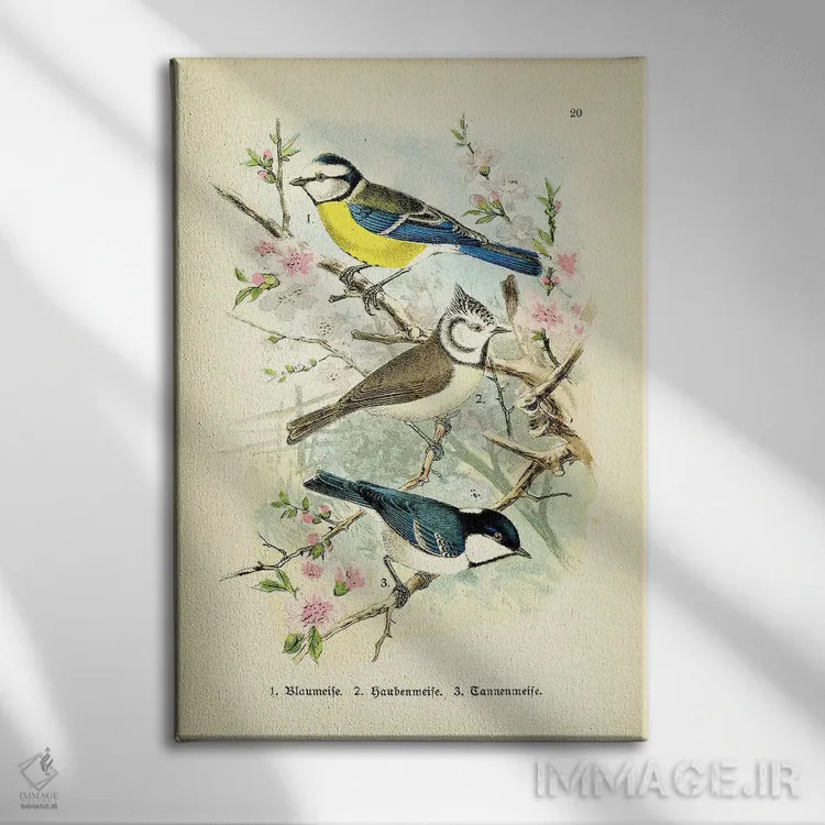 تابلو دکوراتیو پرندگان و شکوفه ها III اثر تینا هیگینز - نمای روبهرو روی دیوار