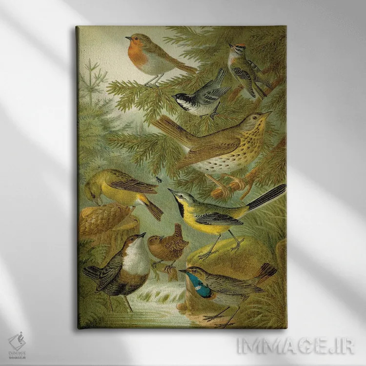 تابلو دکوراتیو پرندگان جنگلی اثر تینا هیگینز - نمای روبهرو روی دیوار