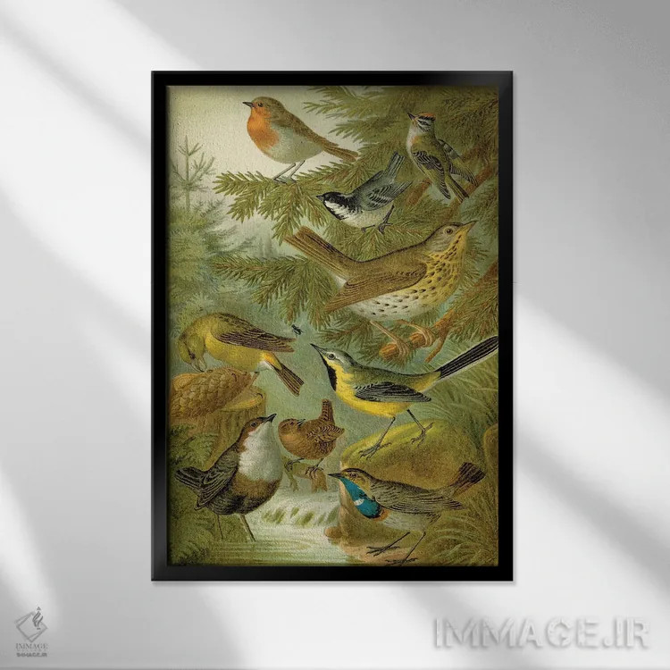 تابلو دکوراتیو پرندگان جنگلی اثر تینا هیگینز - نمای قابدار مشکی