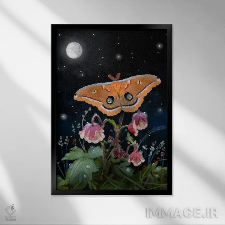 تابلو دکوراتیو شب پره در لحظه ای جادویی اثر توماس لیتل - نمای قابدار مشکی