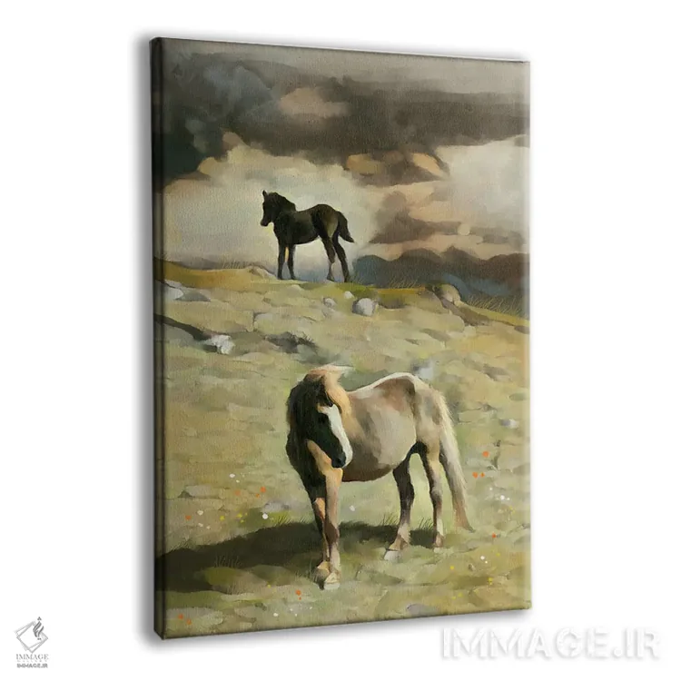تابلو دکوراتیو کره اسب روی تپه اثر توماس لیتل - نمای پرسپکتیو محصول