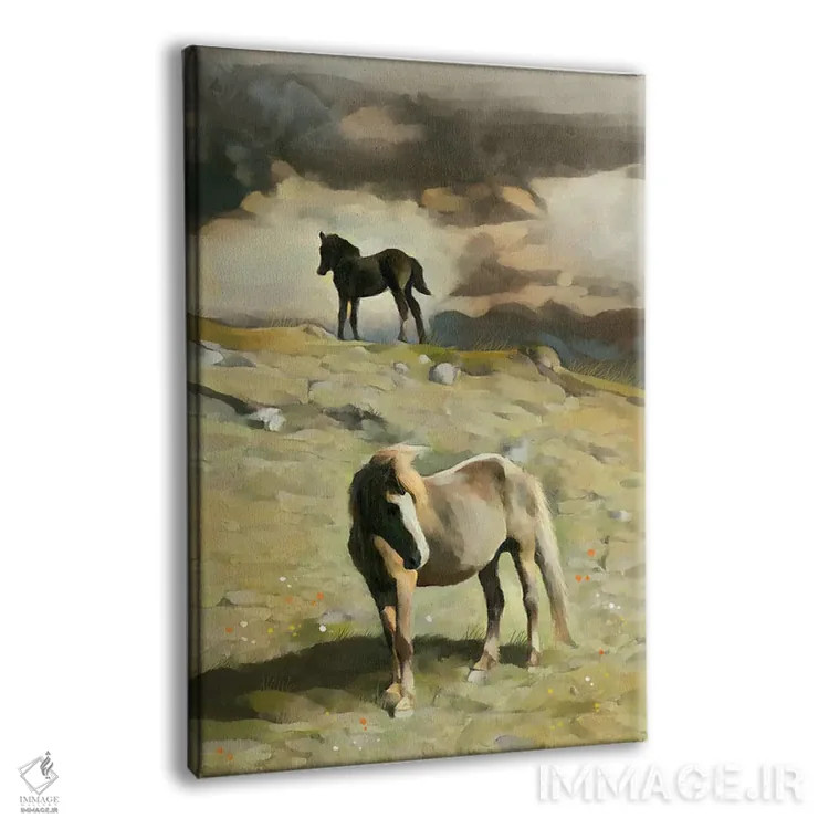 تابلو دکوراتیو کره اسب روی تپه اثر توماس لیتل - نمای پرسپکتیو محصول