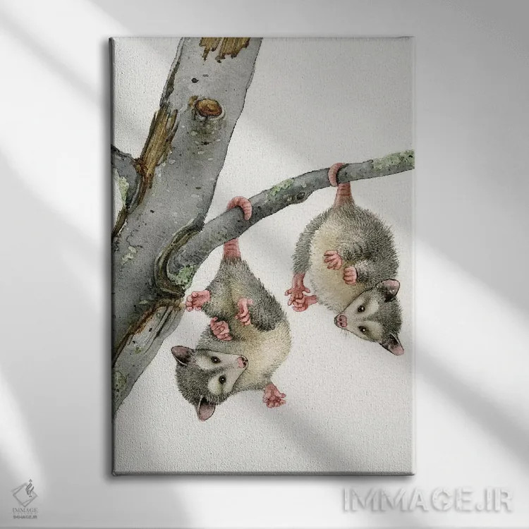 تابلو دکوراتیو اپاسوم های بازیگوش اثر تریسی لیزوت - نمای روبهرو روی دیوار