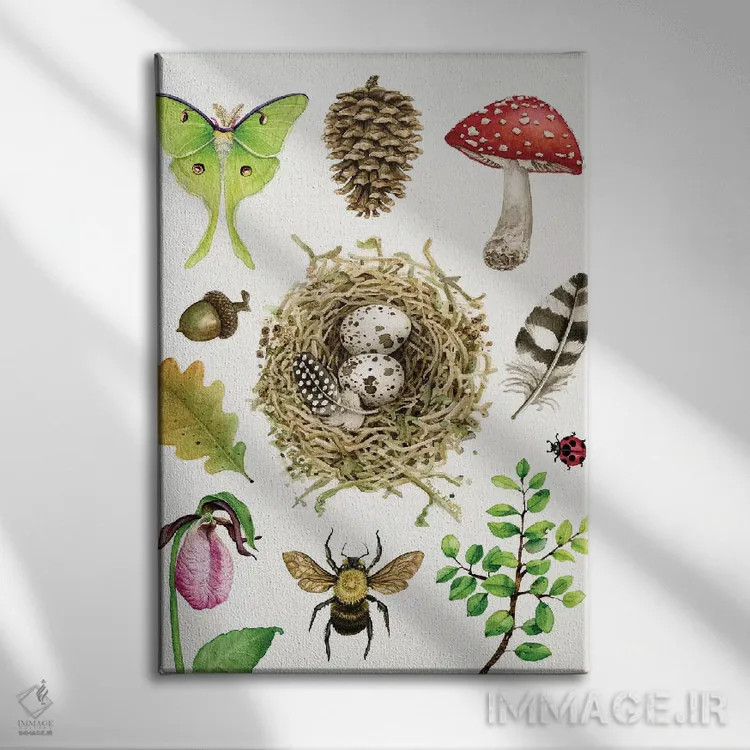 تابلو دکوراتیو مطالعات جنگلی ۱ اثر تریسی لیزوت - نمای روبهرو روی دیوار