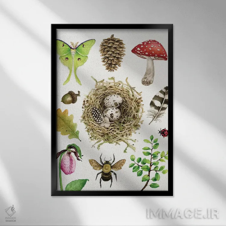تابلو دکوراتیو مطالعات جنگلی ۱ اثر تریسی لیزوت - نمای قابدار مشکی