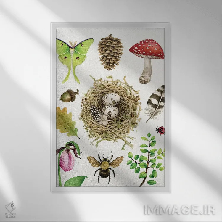 تابلو دکوراتیو مطالعات جنگلی ۱ اثر تریسی لیزوت - نمای قابدار سفید