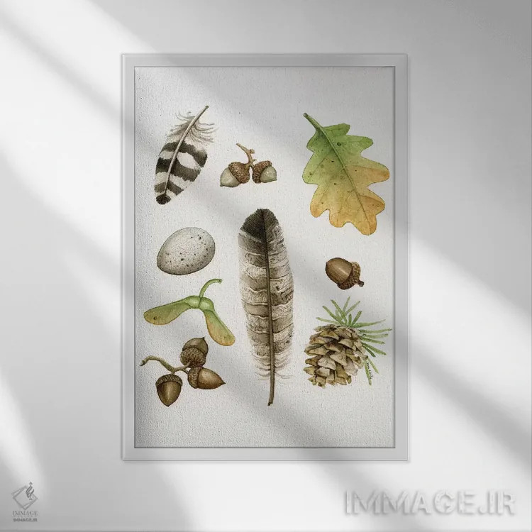 تابلو دکوراتیو مطالعات جنگلی ۲ اثر تریسی لیزوت - نمای قابدار سفید