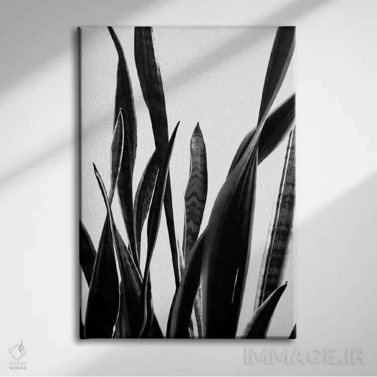 تابلو مینیمال گیاه شماره ۶ اثر فروشگاه طراحی میسی - نمای روبهرو روی دیوار