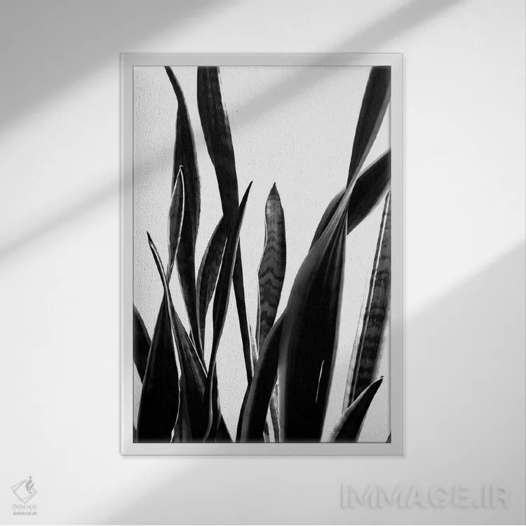 تابلو مینیمال گیاه شماره ۶ اثر فروشگاه طراحی میسی - نمای قابدار سفید