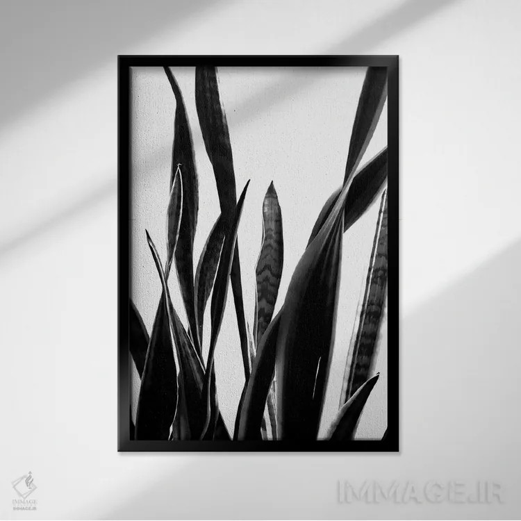 تابلو مینیمال گیاه شماره ۶ اثر فروشگاه طراحی میسی - نمای قابدار مشکی