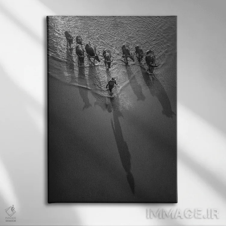 تابلو دکوراتیو پسرک گاومیش ها I اثر ترونگ فام - نمای روبهرو روی دیوار