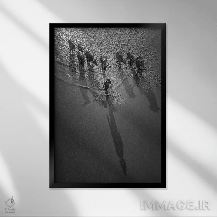 تابلو دکوراتیو پسرک گاومیش ها I اثر ترونگ فام - نمای قابدار مشکی