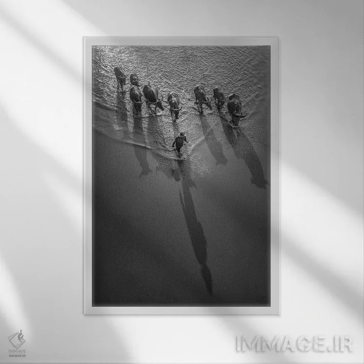 تابلو دکوراتیو پسرک گاومیش ها I اثر ترونگ فام - نمای قابدار سفید