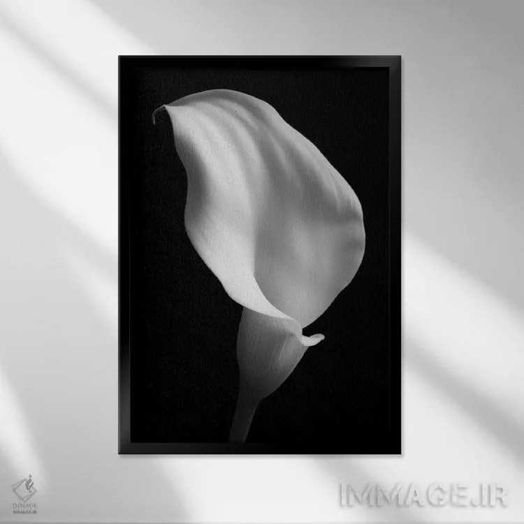 تابلو دکوراتیو سوسن روی زمینه سیاه ۲ اثر تام کوارترمین - نمای قابدار مشکی