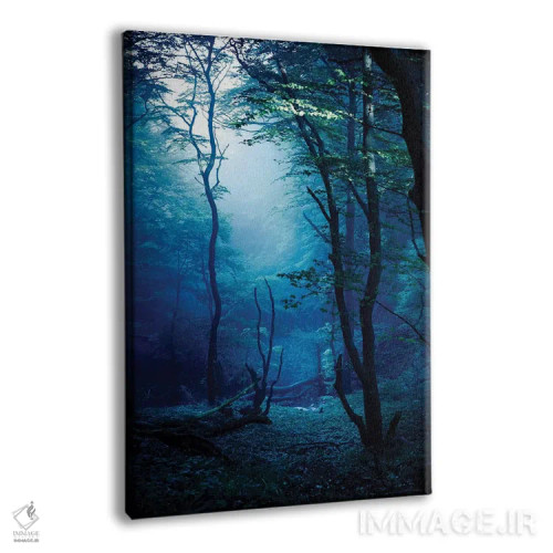تابلو دکوراتیو Dark Forest, Liselund Slotspark, Denmark.,جنگل مه آلود و تا… اثر اوگنی کوکلف - نمای پرسپکتیو محصول