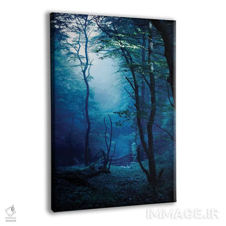 تابلو دکوراتیو Dark Forest, Liselund Slotspark, Denmark.,جنگل مه آلود و تا… اثر اوگنی کوکلف - نمای پرسپکتیو محصول