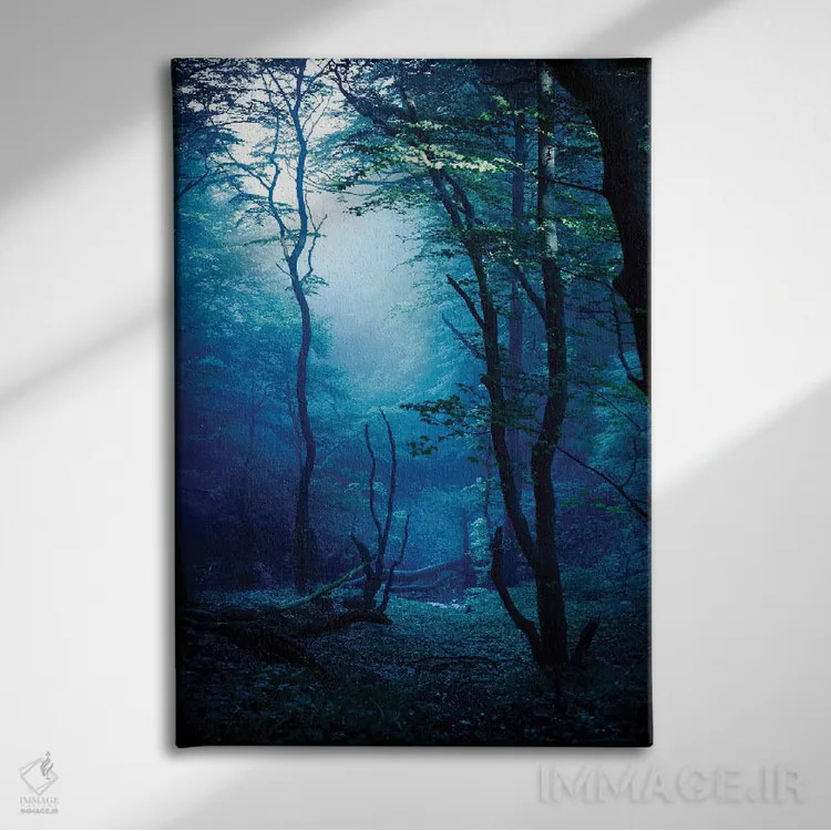 تابلو دکوراتیو Dark Forest, Liselund Slotspark, Denmark.,جنگل مه آلود و تا… اثر اوگنی کوکلف - نمای روبهرو روی دیوار