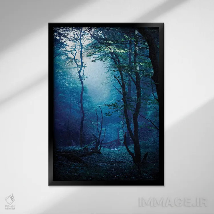 تابلو دکوراتیو Dark Forest, Liselund Slotspark, Denmark.,جنگل مه آلود و تا… اثر اوگنی کوکلف - نمای قابدار مشکی