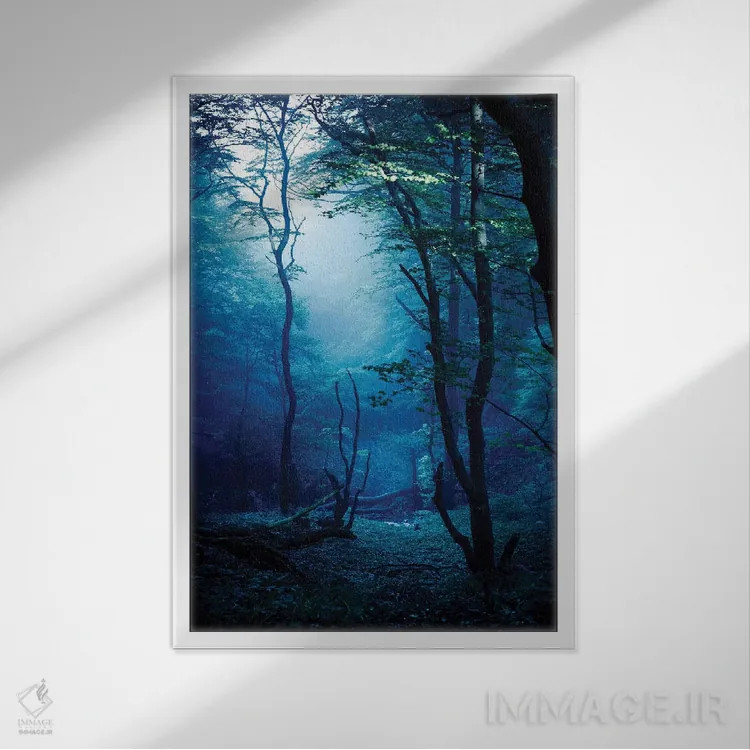 تابلو دکوراتیو Dark Forest, Liselund Slotspark, Denmark.,جنگل مه آلود و تا… اثر اوگنی کوکلف - نمای قابدار سفید
