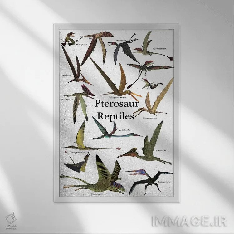 تابلو دکوراتیو پوستر انواع خزندگان پرنده پتروسور در دوران پیشاتاریخ اثر کوری فورد - نمای قابدار سفید