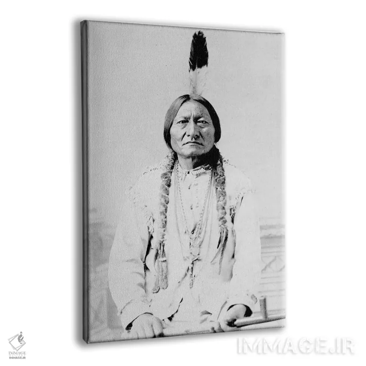 تابلو دکوراتیو A Hunkpapa Lakota Tribal Chief,سیتینگ بول، رئیس قبیله… اثر استاک ترک ایمیجز - نمای پرسپکتیو محصول
