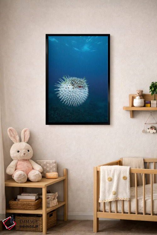تابلو دکوراتیو Maui, Hawaii,یک ماهی بادکنکی خالدار ، مائوئی، هاوایی اثر وی دبلیو پیکس - D4B