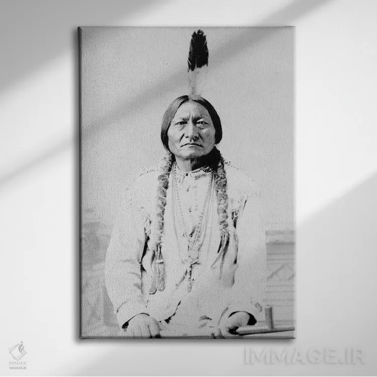 تابلو دکوراتیو A Hunkpapa Lakota Tribal Chief,سیتینگ بول، رئیس قبیله… اثر استاک ترک ایمیجز - نمای روبهرو روی دیوار