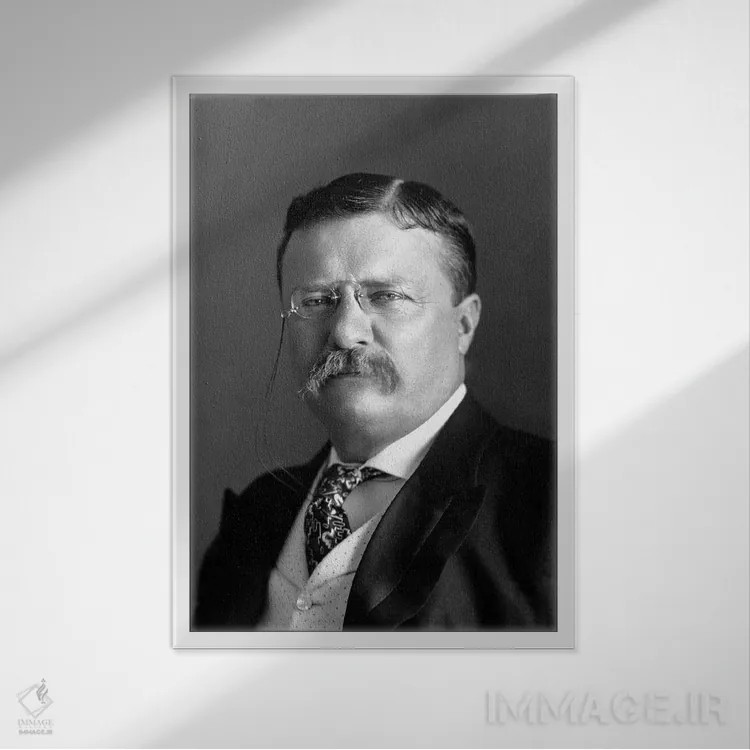 تابلو دکوراتیو پرتره رئیس جمهور تئودور روزولت در سال ۱۹۰۴ اثر استاک ترک ایمیجز - نمای قابدار سفید