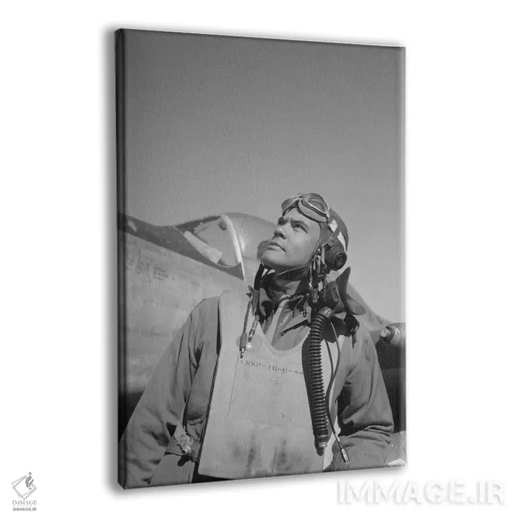 تابلو دکوراتیو Commander Of The Tuskegee Airmen,بنجامین اولیور دیویس… اثر استاک ترک ایمیجز - نمای پرسپکتیو محصول