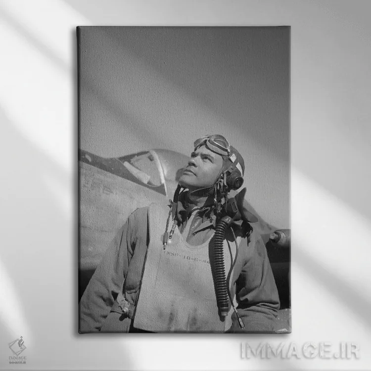 تابلو دکوراتیو Commander Of The Tuskegee Airmen,بنجامین اولیور دیویس… اثر استاک ترک ایمیجز - نمای روبهرو روی دیوار