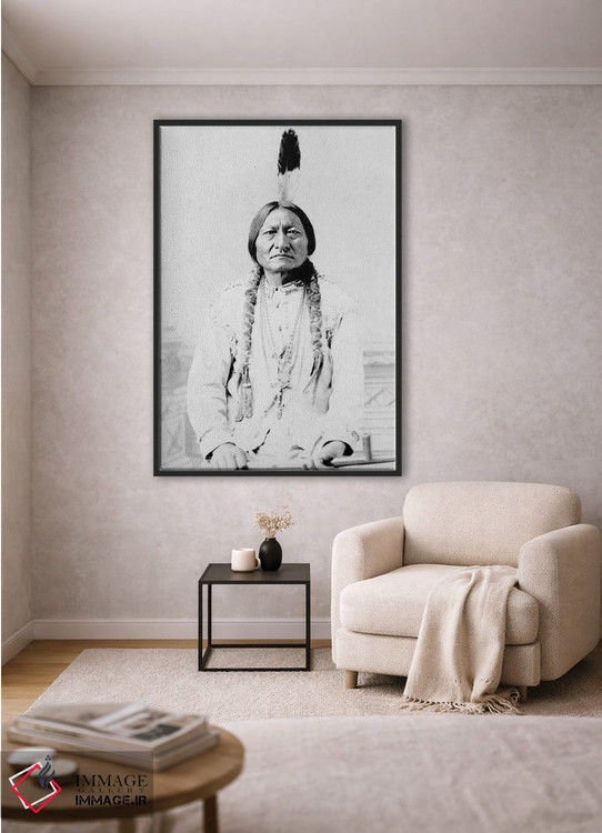 تابلو دکوراتیو A Hunkpapa Lakota Tribal Chief,سیتینگ بول، رئیس قبیله… اثر استاک ترک ایمیجز - D2B
