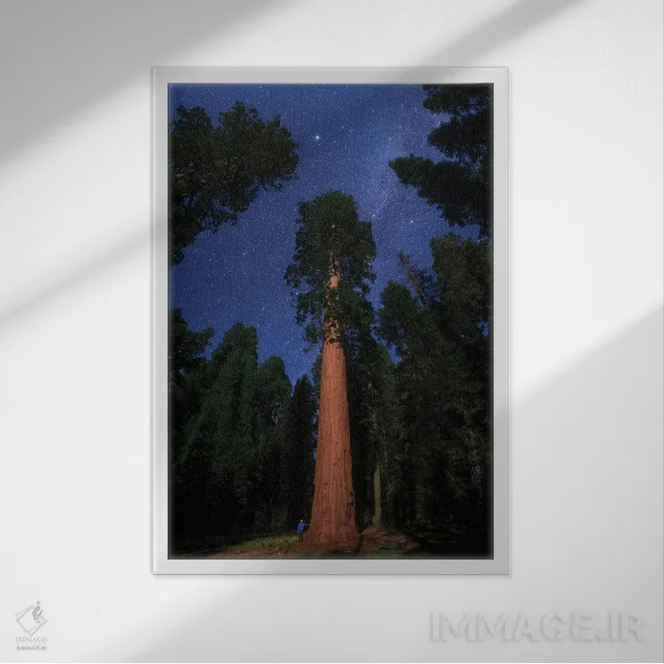 تابلو دکوراتیو California, USA,منظره ای از پارک ملی سکویا، کالیفرنیا، آمریکا اثر جف دای - نمای قابدار سفید