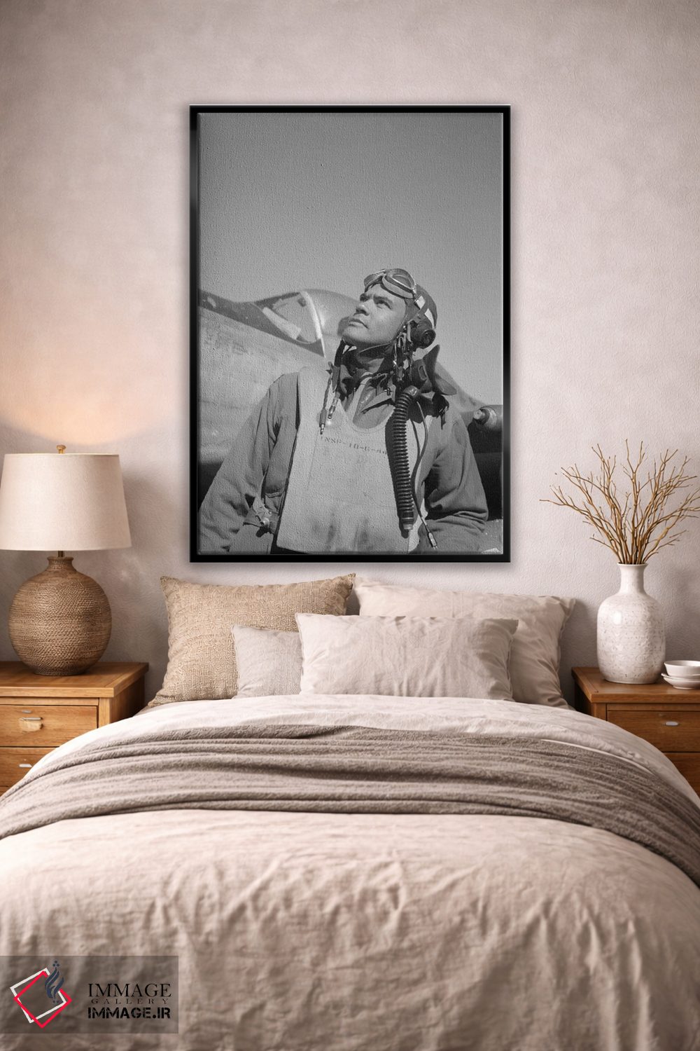 تابلو دکوراتیو Commander Of The Tuskegee Airmen,بنجامین اولیور دیویس… اثر استاک ترک ایمیجز - D1B