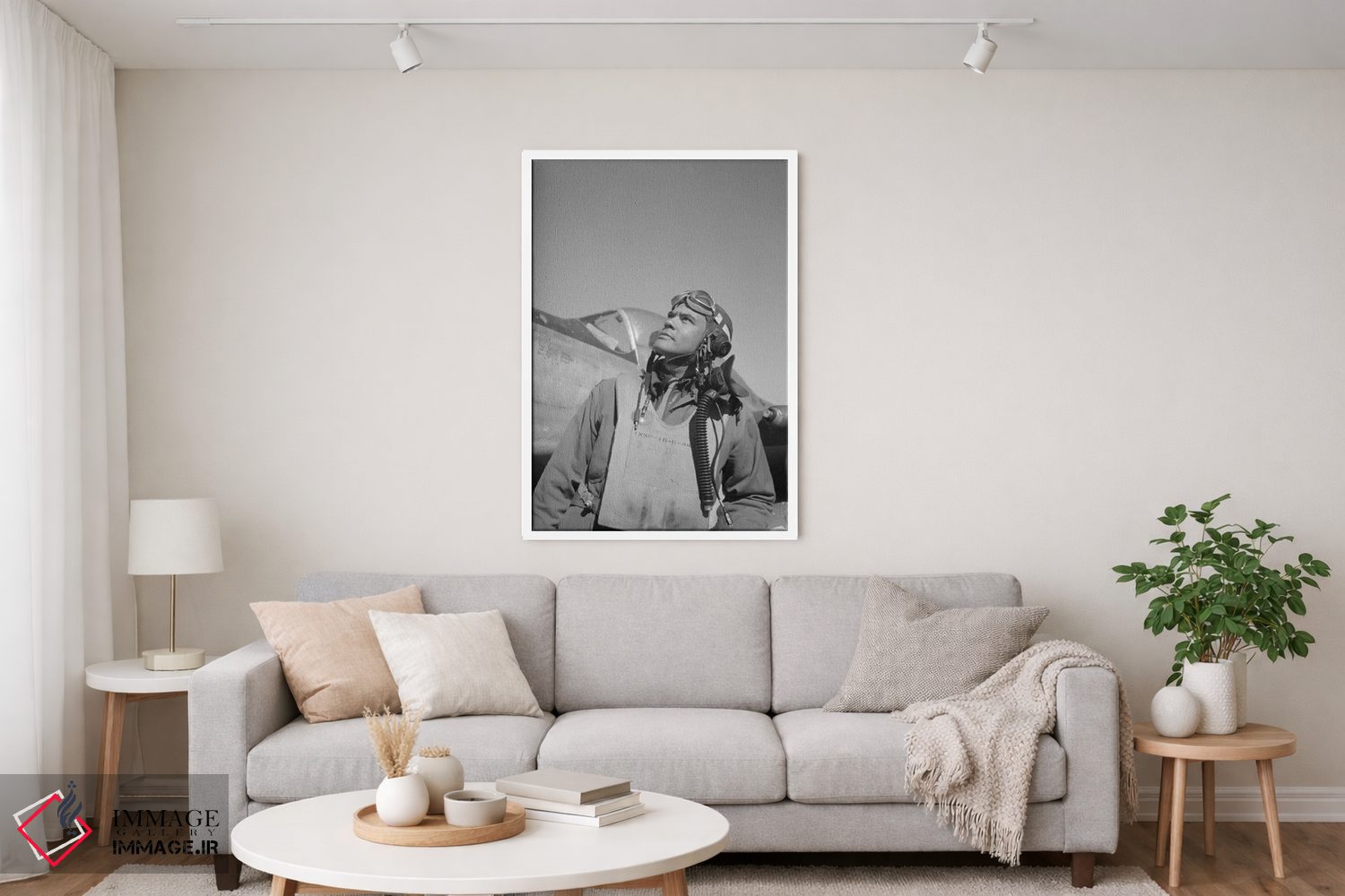 تابلو دکوراتیو Commander Of The Tuskegee Airmen,بنجامین اولیور دیویس… اثر استاک ترک ایمیجز - D3W