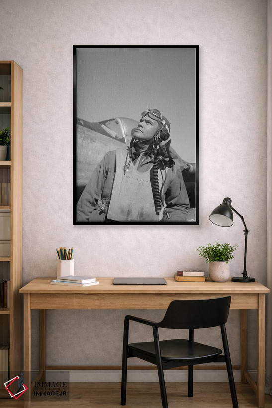 تابلو دکوراتیو Commander Of The Tuskegee Airmen,بنجامین اولیور دیویس… اثر استاک ترک ایمیجز - D2B