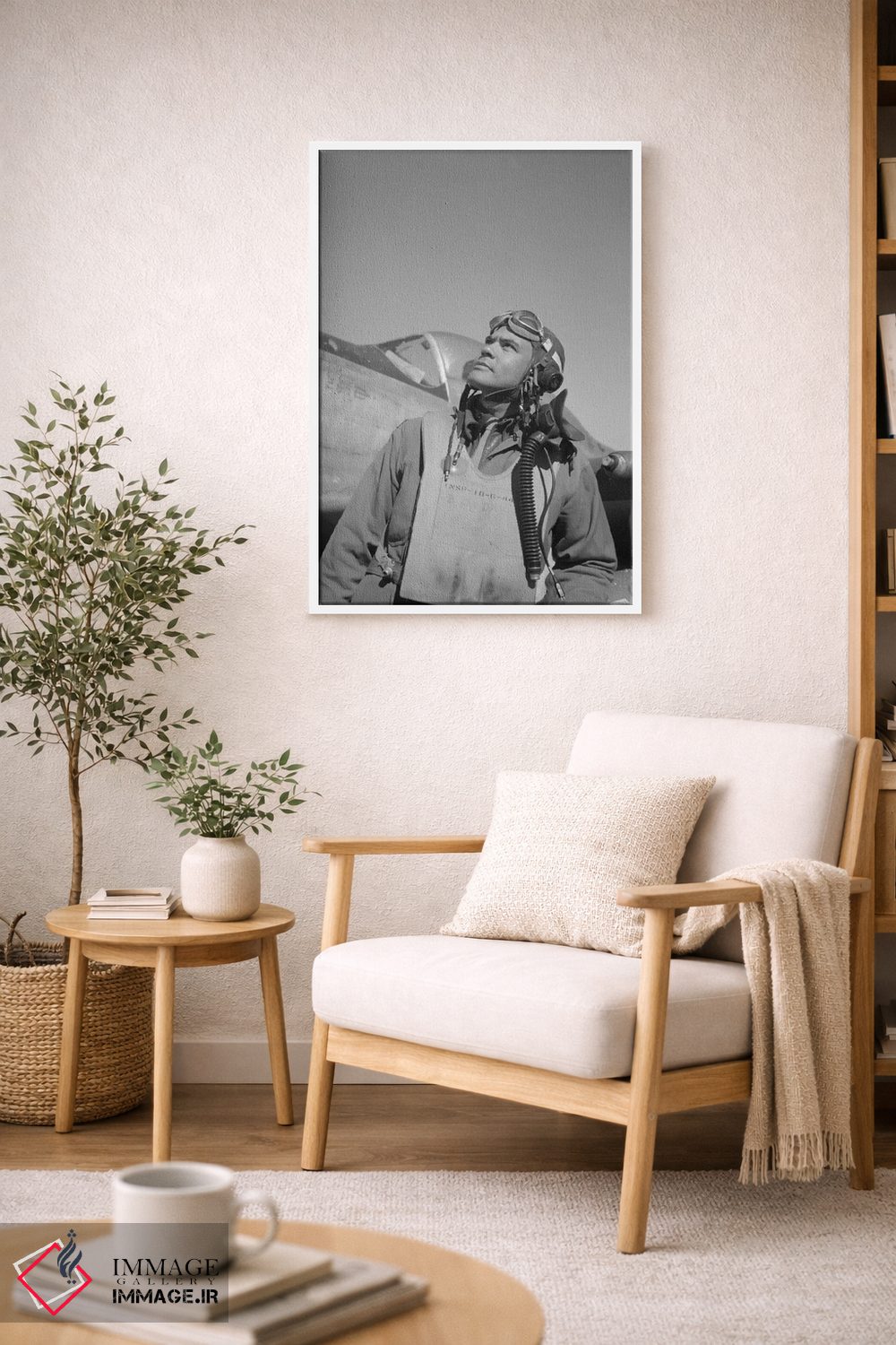 تابلو دکوراتیو Commander Of The Tuskegee Airmen,بنجامین اولیور دیویس… اثر استاک ترک ایمیجز - D5W