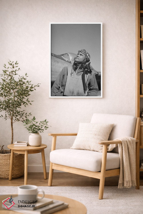 تابلو دکوراتیو Commander Of The Tuskegee Airmen,بنجامین اولیور دیویس… اثر استاک ترک ایمیجز - D5W