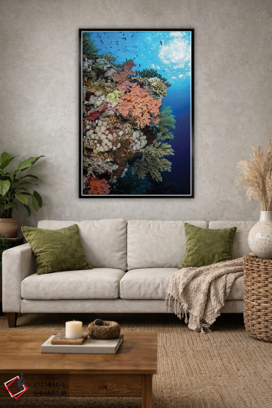تابلو دکوراتیو Red Sea,صخره مرجانی نرم زیبا در دریای سرخ اثر بروک پیترسون - D1B