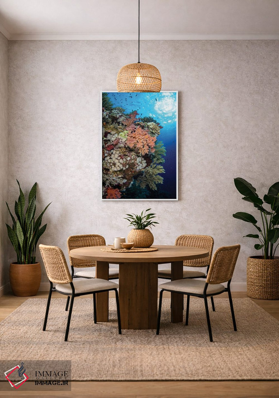 تابلو دکوراتیو Red Sea,صخره مرجانی نرم زیبا در دریای سرخ اثر بروک پیترسون - D2W