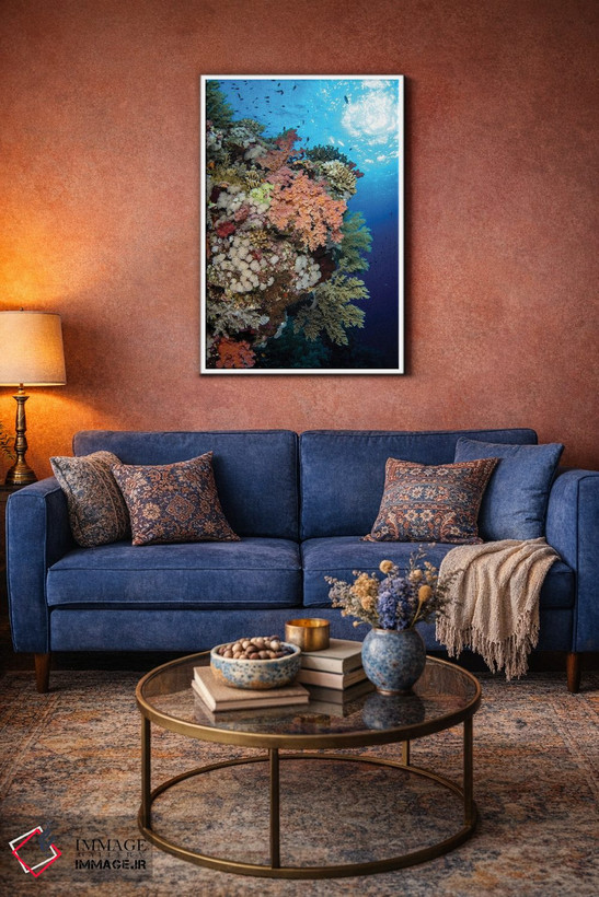 تابلو دکوراتیو Red Sea,صخره مرجانی نرم زیبا در دریای سرخ اثر بروک پیترسون - D3W