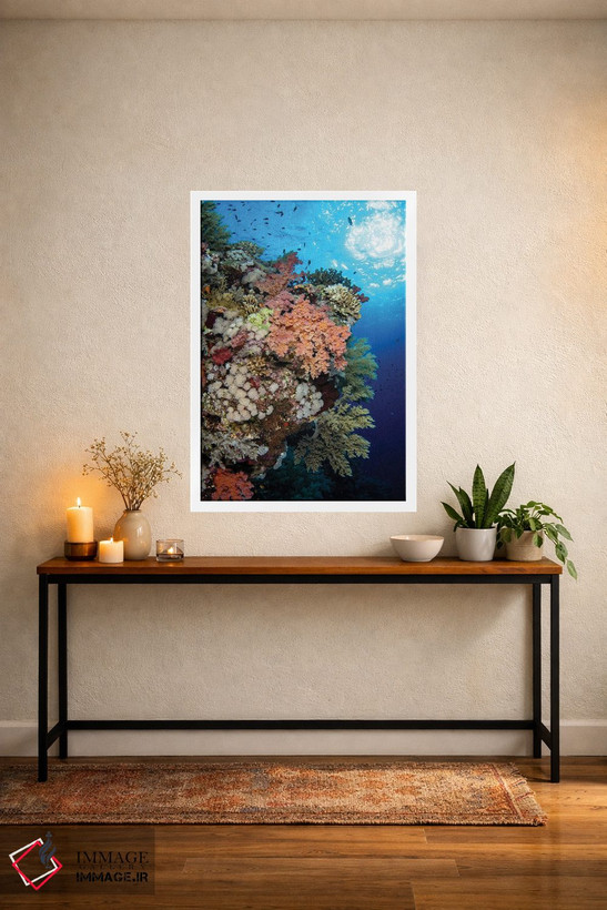 تابلو دکوراتیو Red Sea,صخره مرجانی نرم زیبا در دریای سرخ اثر بروک پیترسون - D4W