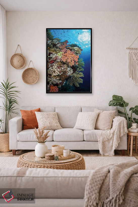 تابلو دکوراتیو Red Sea,صخره مرجانی نرم زیبا در دریای سرخ اثر بروک پیترسون - D5B